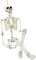 5.4 ft Posable Halloween Skeleton Decorations,Human Bones for Halloween Party with Movable Joints,for Haunted Houses, Front Lawn, Graveyard Props
